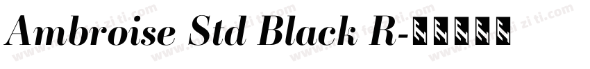 Ambroise Std Black R字体转换